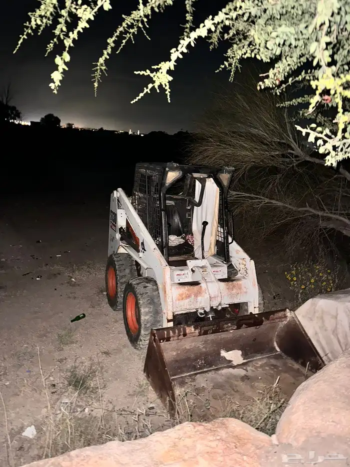 بوب كات للإيجار 2
