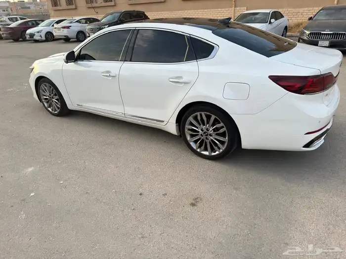 كادنزا 2020 12