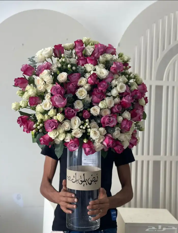مندوب ابها وخميس مشيط والقرى 1