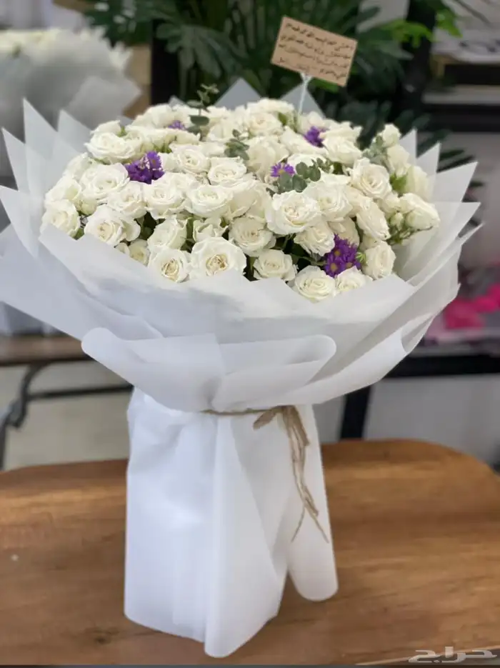 مندوب ابها وخميس مشيط والقرى 3