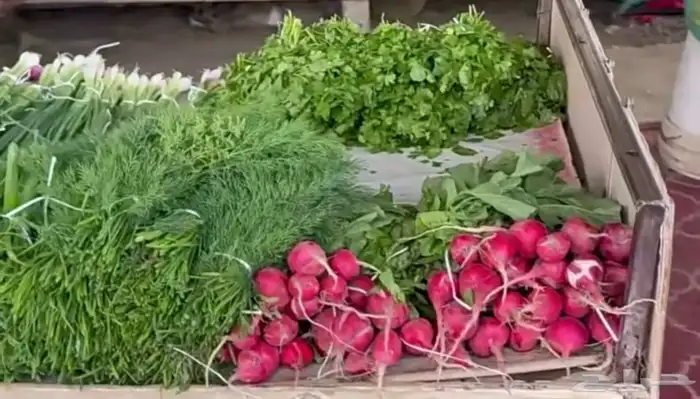 خضروات طازجة من المزرعة 1