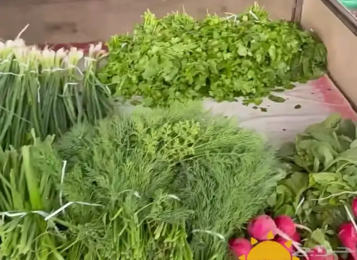 خضروات طازجة من المزرعة 2