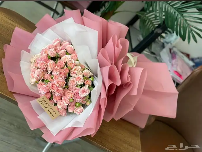 مندوب ابها وخميس مشيط والقرى 4