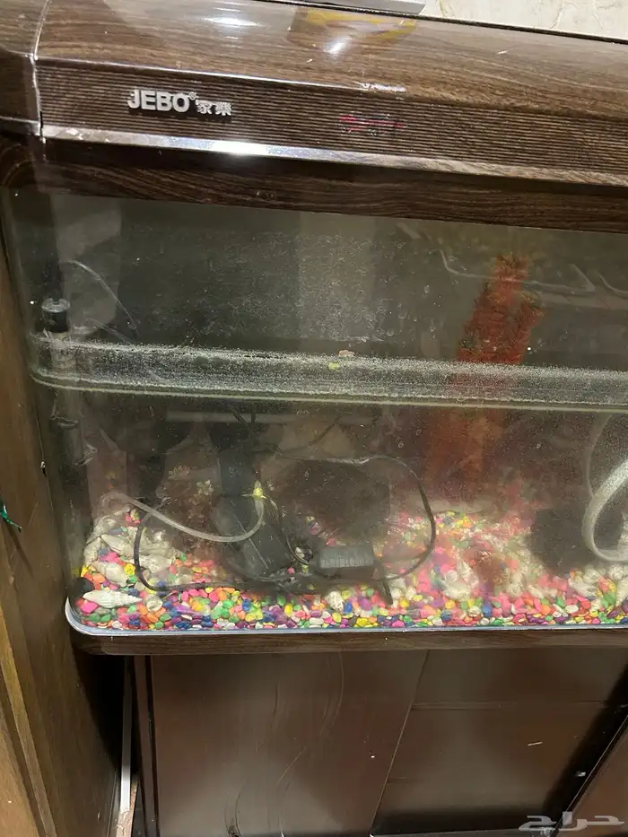 حوض سمك مع دولاب للبيع 2