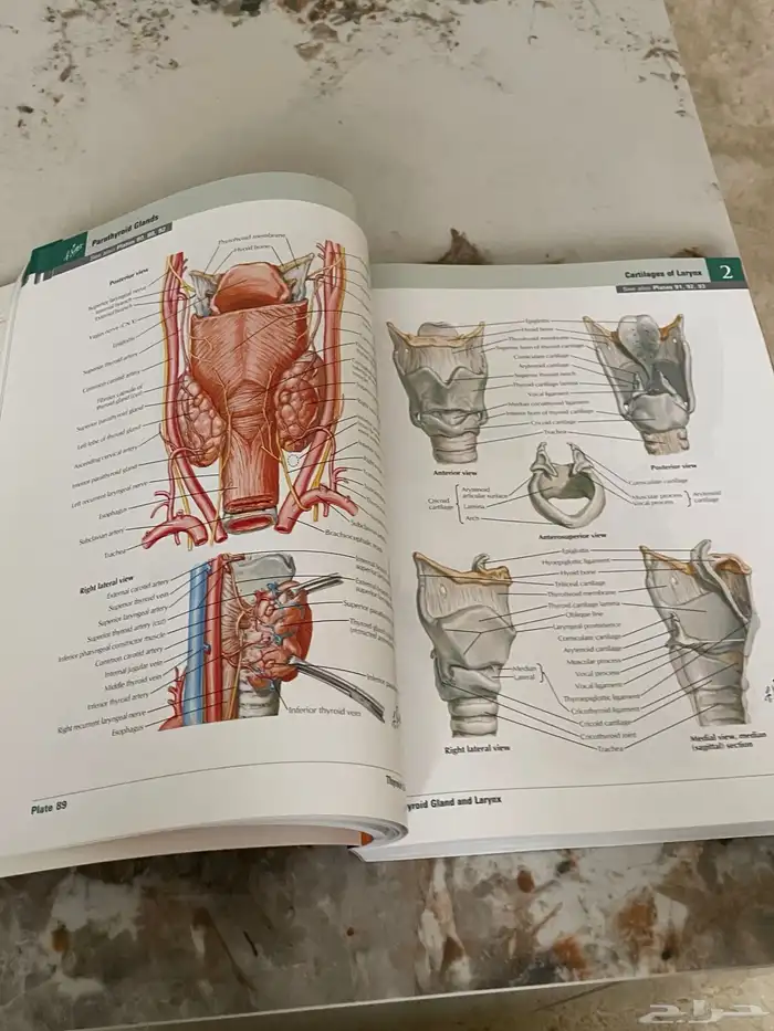 كتاب اطلس اناتومي لمادة التشريح لطلاب الطب 1