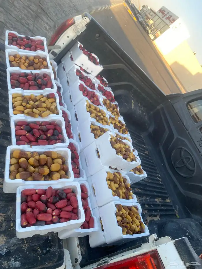 تمر رطب فاخر 0