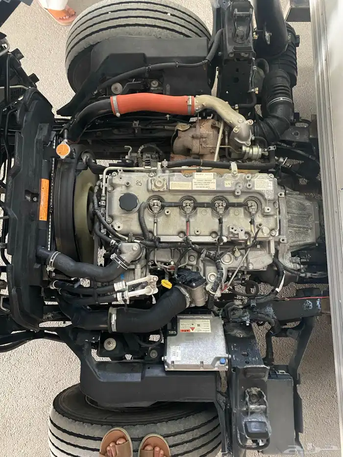 دينا ايسوزو حافظه 2020 6