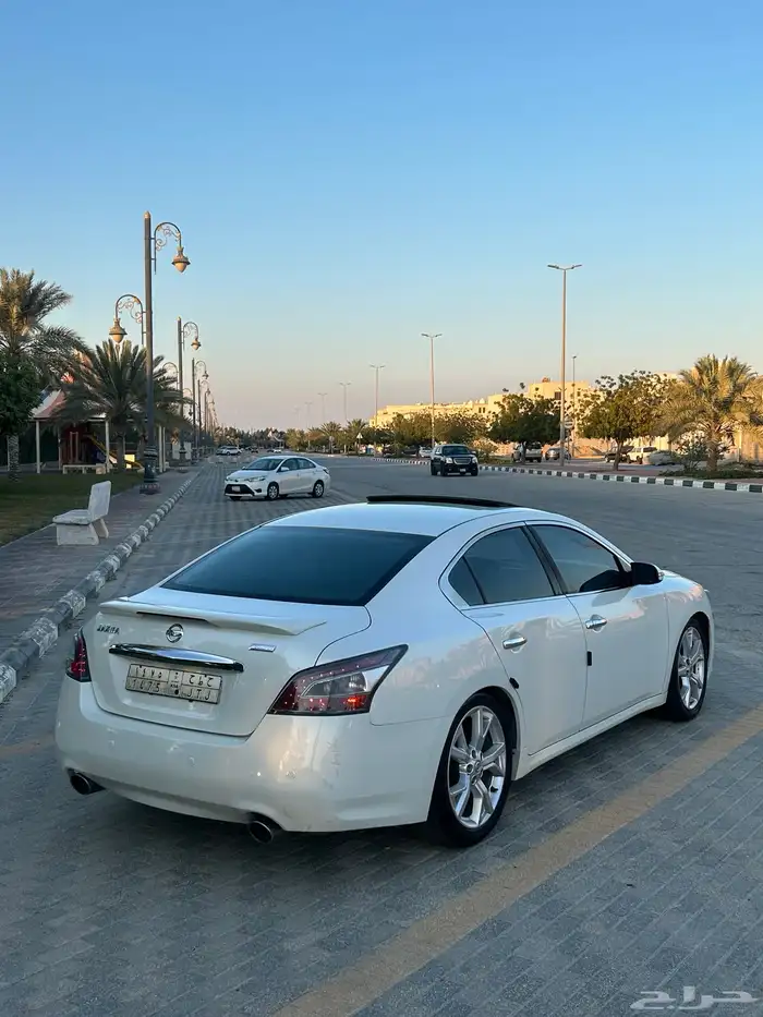 مكسيما 2014 بدي وكاله 3