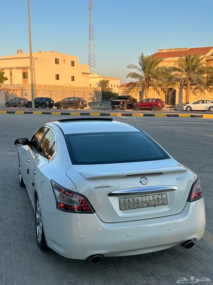 مكسيما 2014 بدي وكاله 1