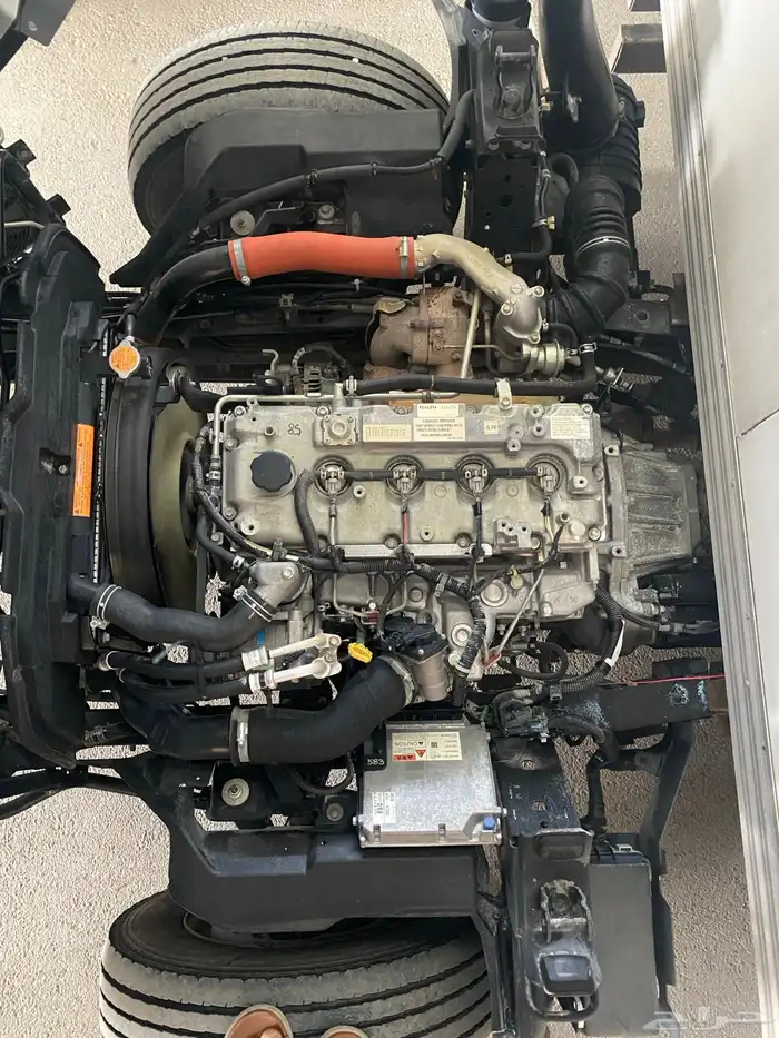 دينا ايسوزو حافظه 2020 7