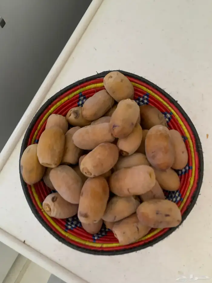 تمور نجران بياض ومواكل 19