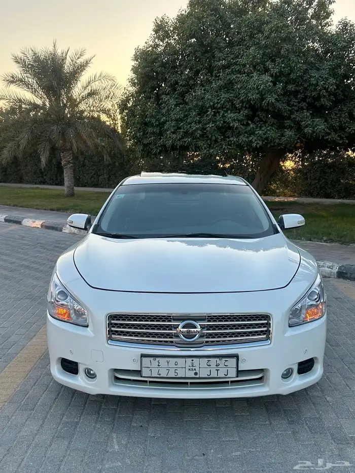 مكسيما 2014 بدي وكاله 9