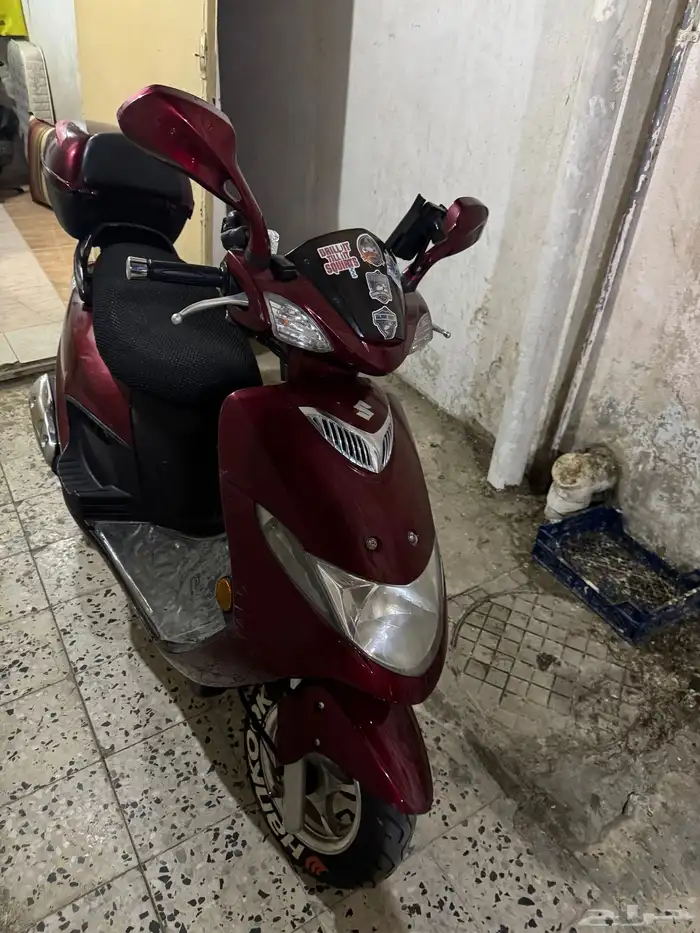 دباب سزوكي 2019 1