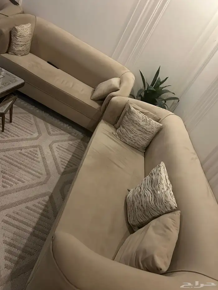 كنب تقريبا 11 شخص 2