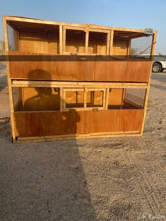 حضانة صوص 1