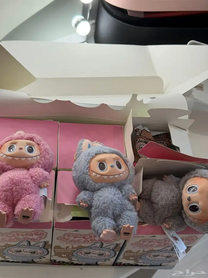 box of exciting macaron labubu 0