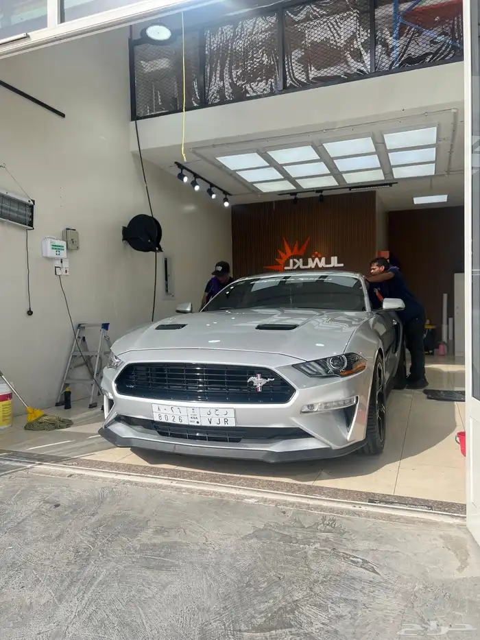 موستنج 2019 كاليفورنيا سبشل 5.0 3