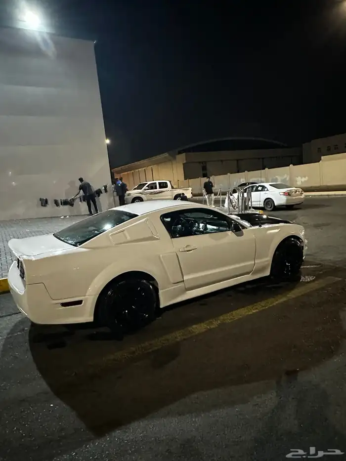 موستنج 18
