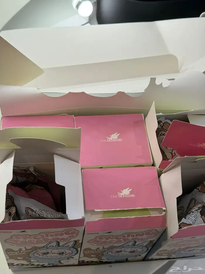 box of exciting macaron labubu 1