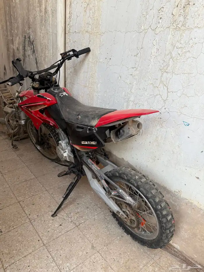 دباب صحراوي 3