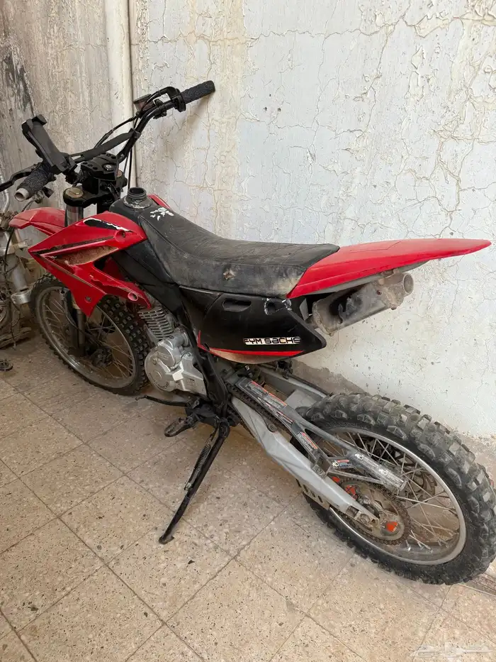 دباب صحراوي 2