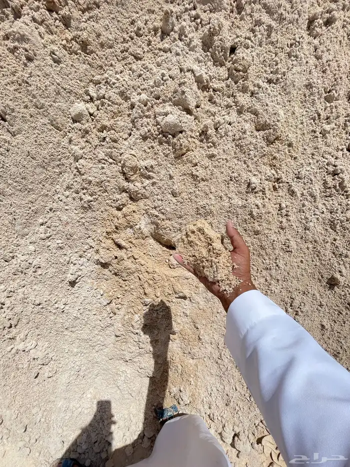 الرياض 4