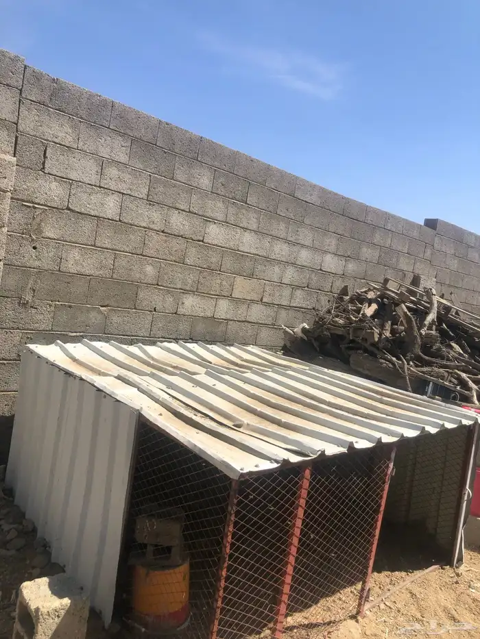 شبك دجاج 3في 3 1