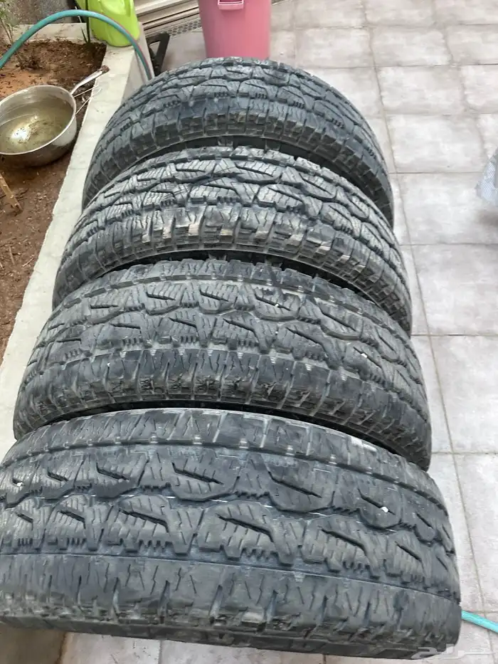 كفرات نص حجري تاريخ 21 0