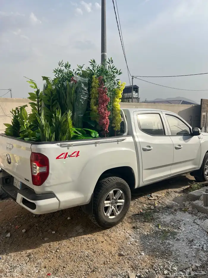 اشجار 2