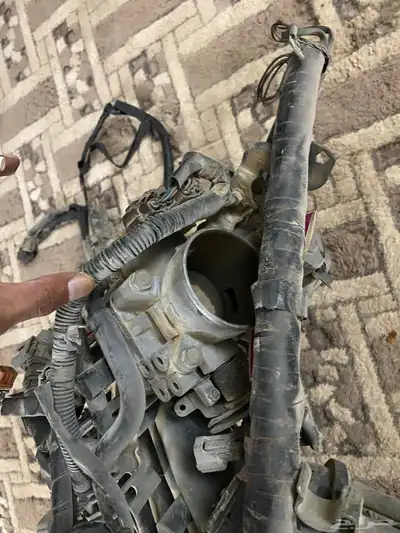 سلف كروز index