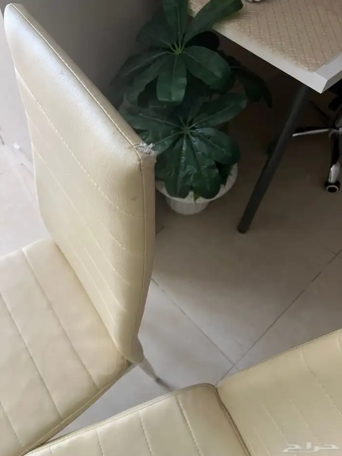 اعراض بيت 6
