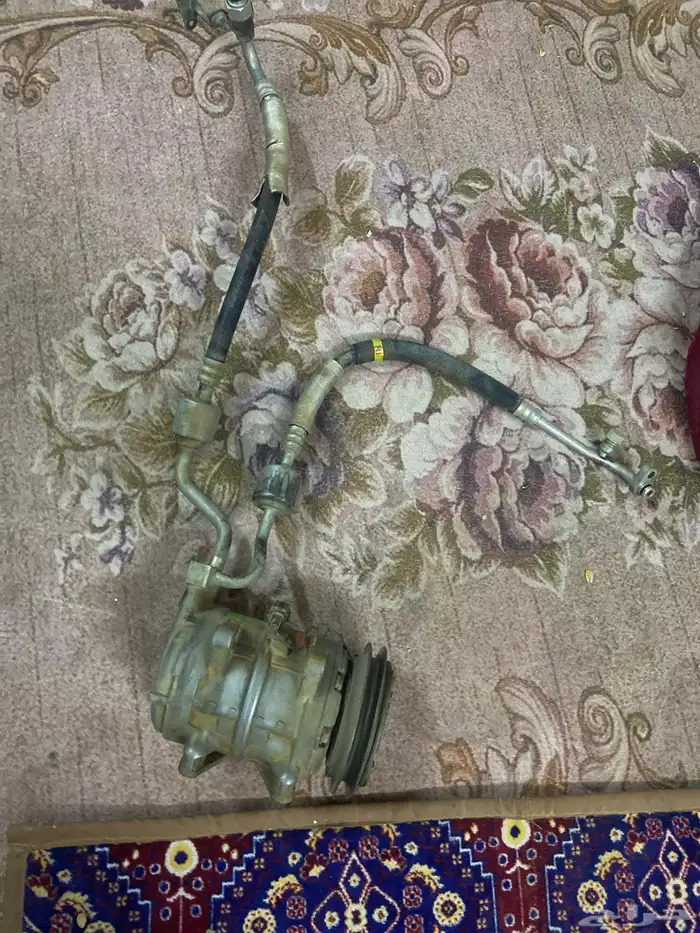 كنبلشر ددسن حق وكاله 0