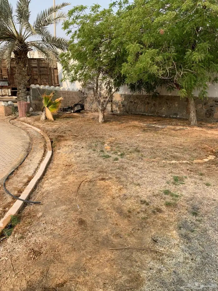 ثيل طبيعي او نجيله طبيعي مشروطه مضمونه 9
