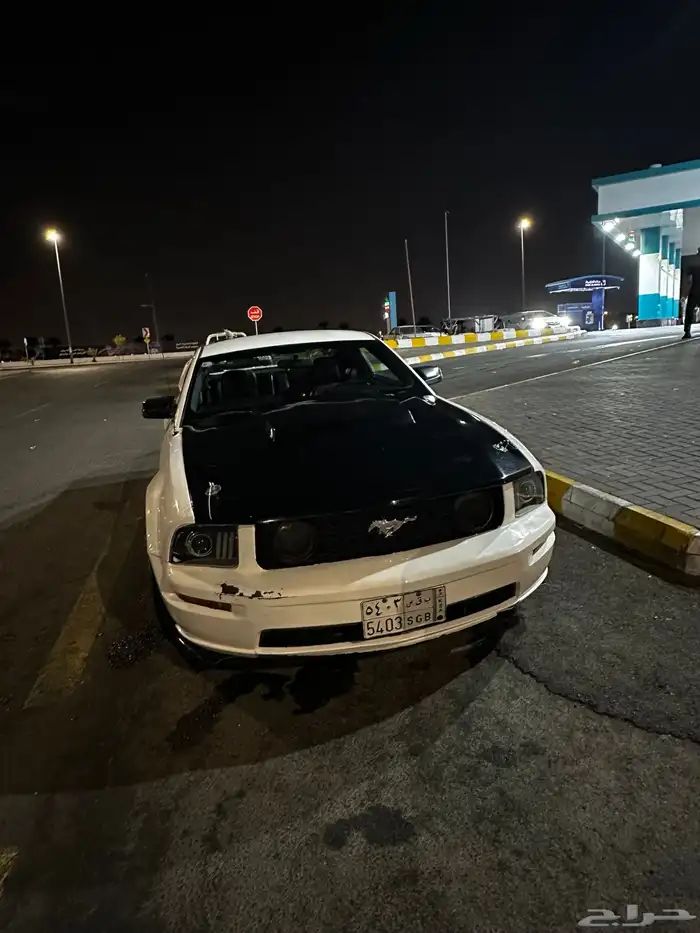 موستنج 19