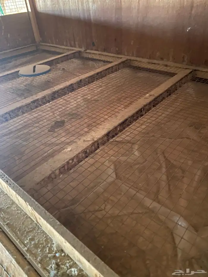 حضانة صوص 5