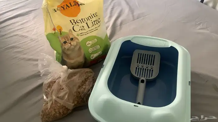 أغراض قطاوه جديده 0