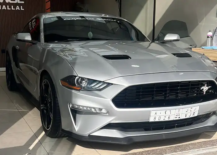 موستنج 2019 كاليفورنيا سبشل 5.0 2