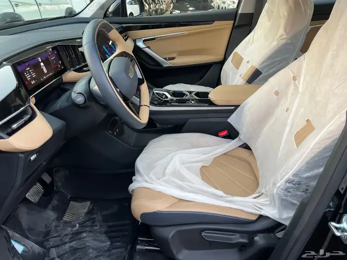 جيلي ستار راي 2024 10