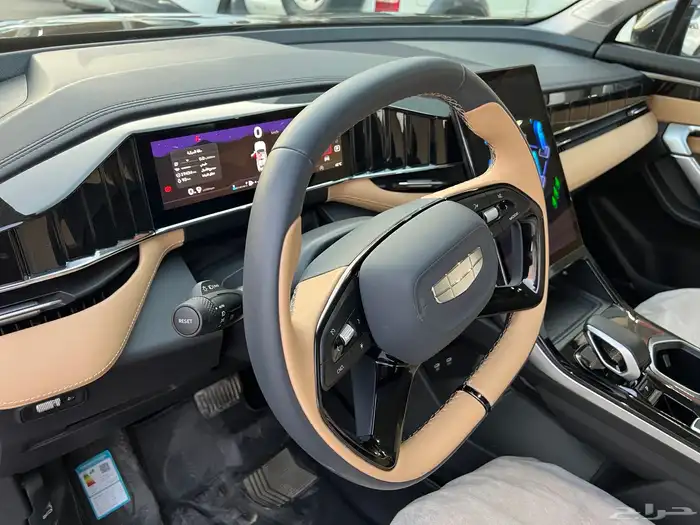 جيلي ستار راي 2024 11
