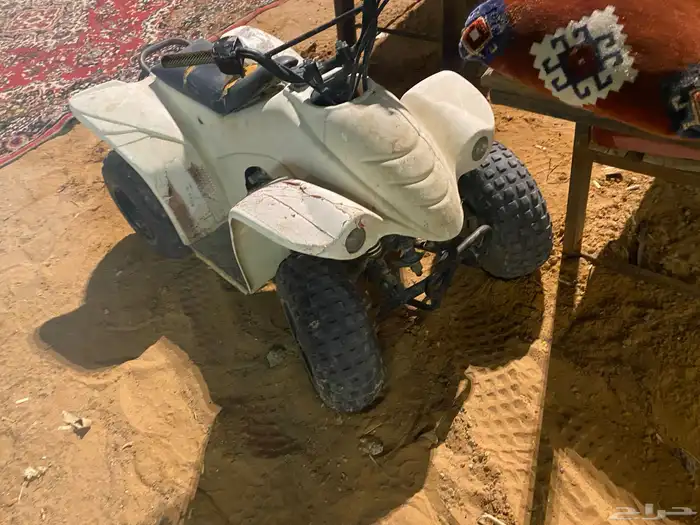 الرياض الزوليات 1
