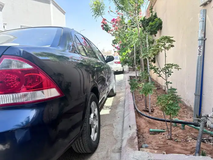 للبيع صني 2010 2