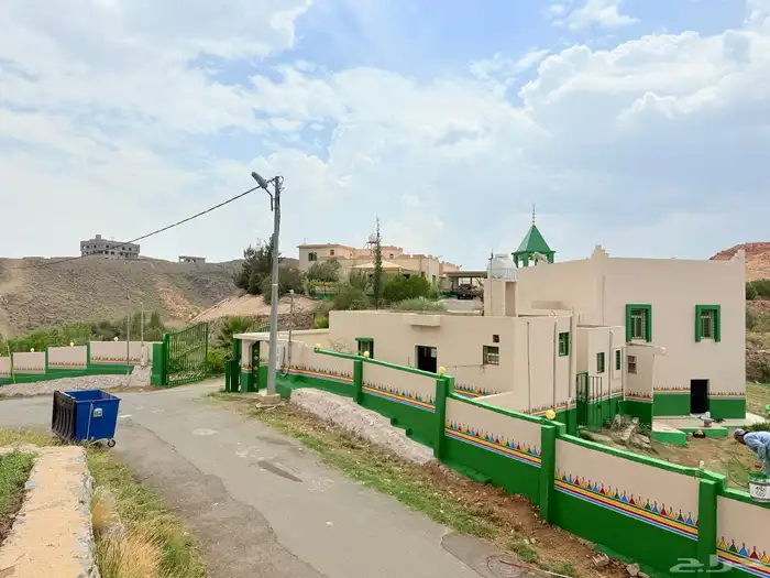 القط العسيري 13