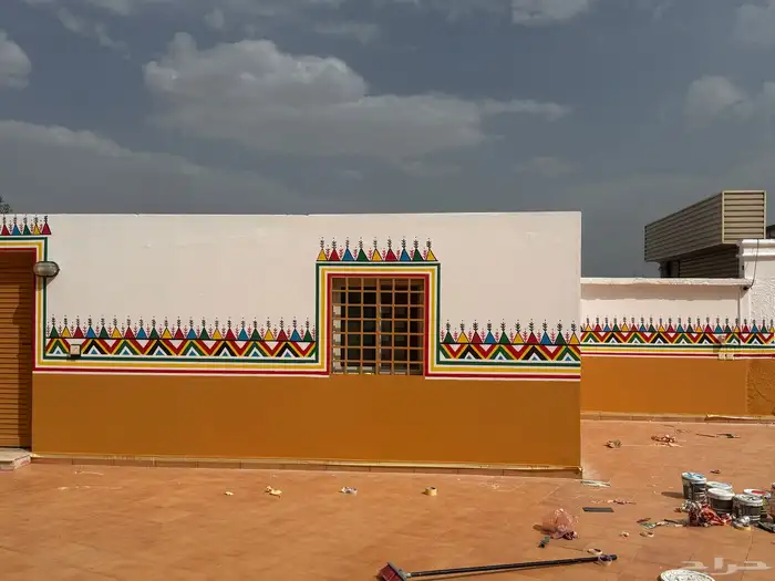 القط العسيري 11