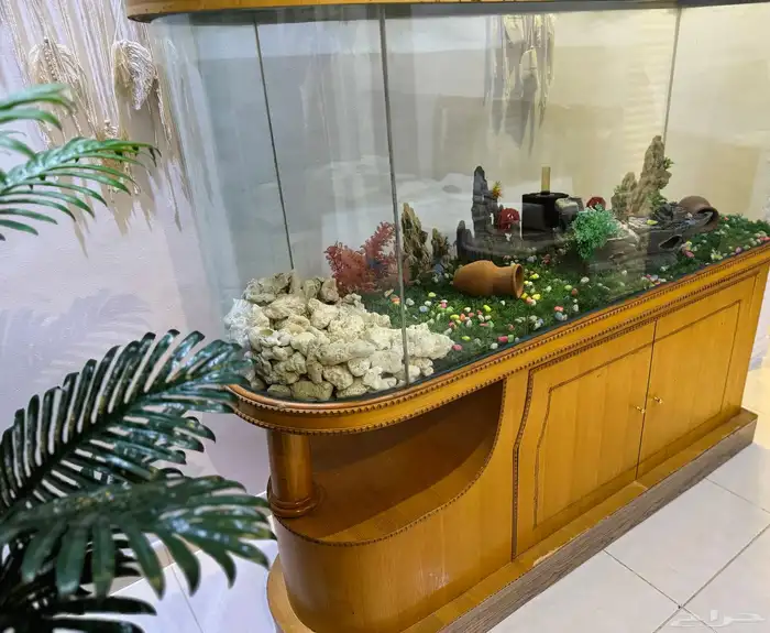 حوض سمك كبير والقزاز عالشرط ماشاءالله 0
