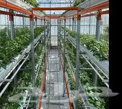 خبير زراعة عمودية وهيدروبونيك 0