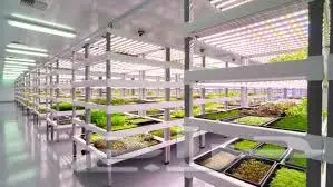 خبير زراعة عمودية وهيدروبونيك 2