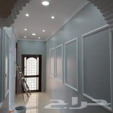 صباغ الاحساء 17