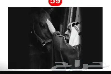 صور اليوم الوطني عرض اي صورتين 95 24