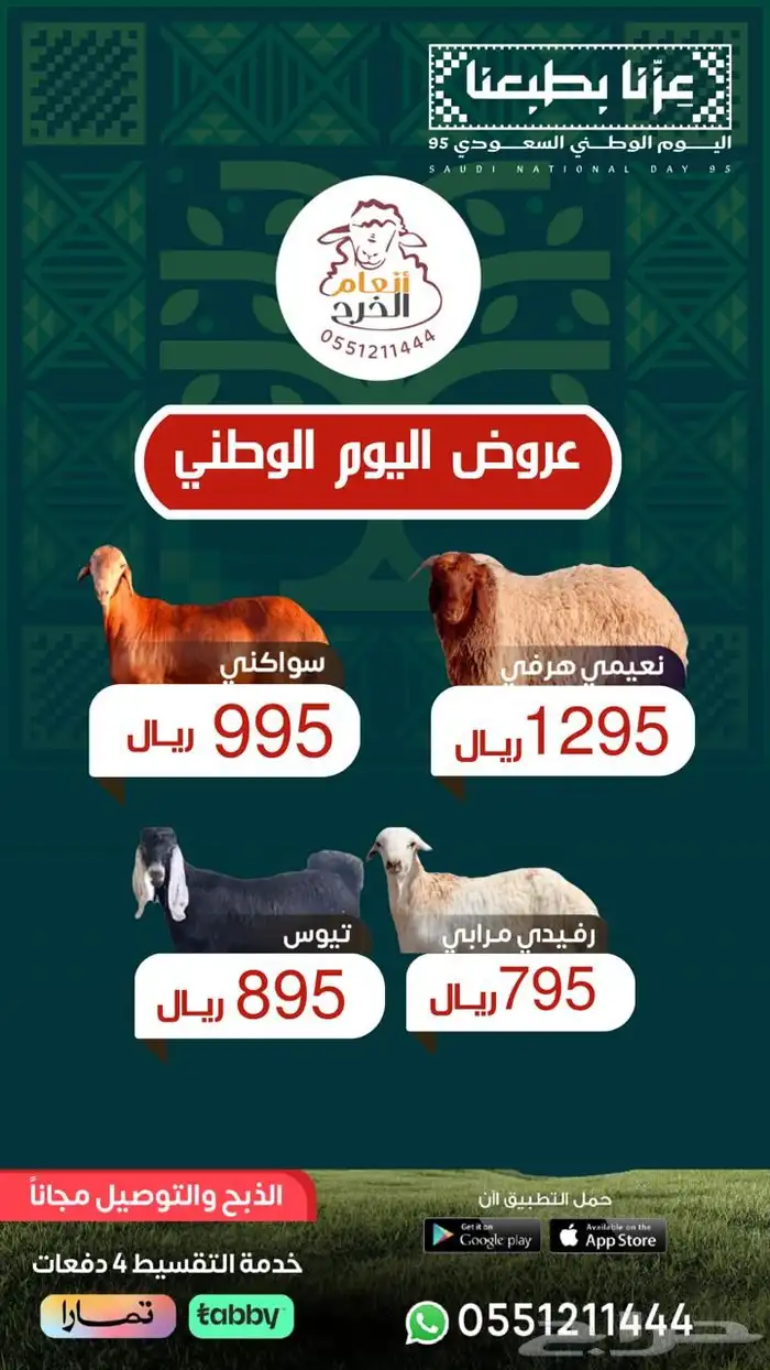 نعيمي بلدي ب 1295 0