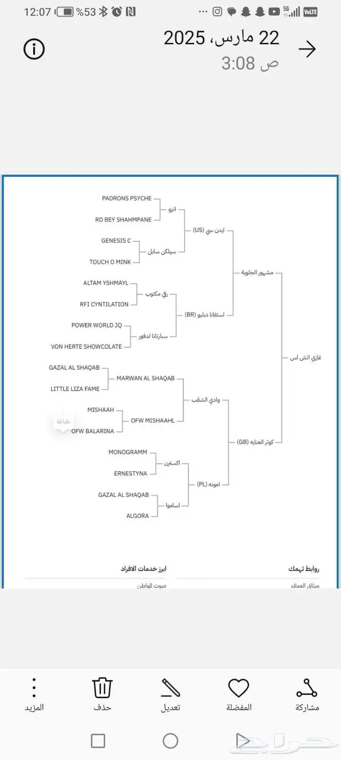 حصان مهر أشعل واهو أصيل 5